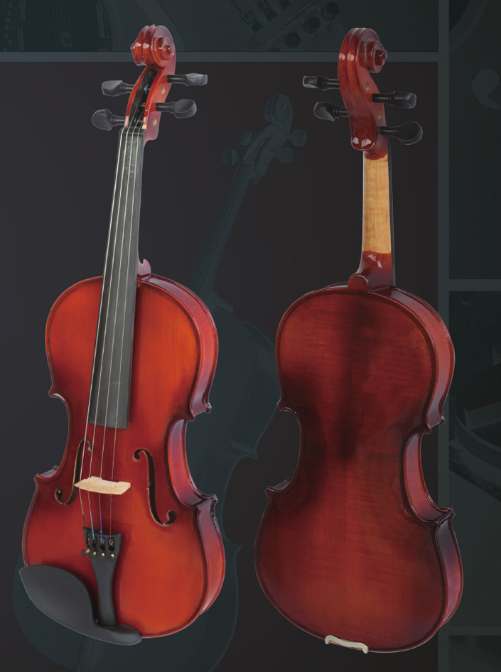 Violin